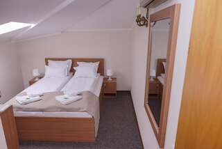 Отель Bucharest Downtown Inn Бухарест Двухместный номер эконом-класса с 1 кроватью-5