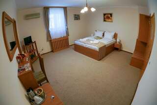 Отель Bucharest Downtown Inn Бухарест Двухместный номер с 1 кроватью-7